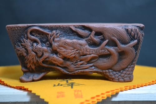 常滑焼 龍長方鉢