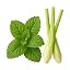 Lemongrass Peppermint