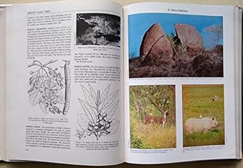 Encyclopedia of Indian Natural History: Centenary Publication of the Bombay Natural History Society 1883-1983
