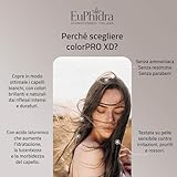 Euphidra B01MYTISXA lato 4