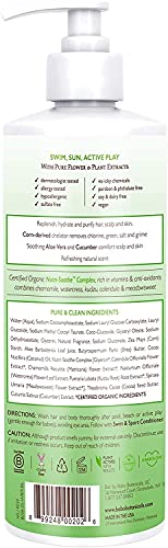 Babo Botanicals Purifying Swim & Sport 2-In-1 Shampoo & Wash With Natural Cucumber And Aloe Vera, For Babies, Kids Or Sensitive Skin 16 Fl Oz #TOP1