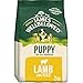 Price comparison product image James Wellbeloved Puppy Lamb & Rice 2 kg Bag, Hypoallergenic Dry Dog Food