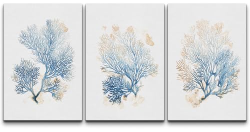 wall26 Canvas Print Wall Art Set Neutral Blue Watercolor Coral Illustrations Modern Art Decorative Multicolor Chic for Living Room, Bedroom, Office - 24"x36" x 3