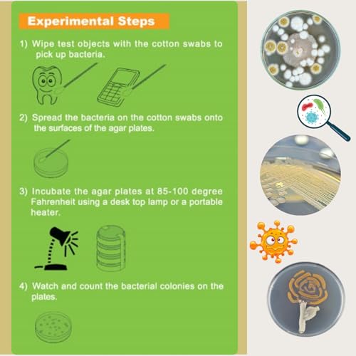 EZ BioResearch Bacteria Science Kit (I) (Gift Pack): Pre-Poured LB Agar Plates and Cotton Swabs, E-Book for Science Fair Project with Award Winning Experiments (I Gift Pack)