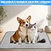 Ajuanbazha Kühlmatte Hund, Selbstkühlende Hundematte Sommer Kühlkissen, Ungiftige Waschbare KüHldecke für Hunde und Katzen, Tragbare Kältematte für Zuhause, Auto und Outdoor