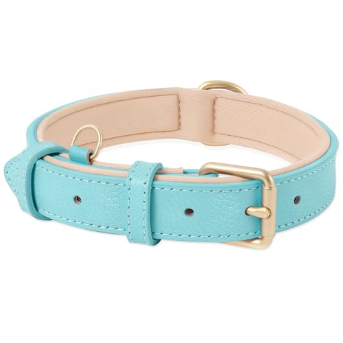 HEELE Collare Cane in Pelle, Imbottitura Morbida Resistente, Collare per Cani di Taglia Piccola, Media e Grande, Blu, L