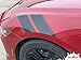 Original Pony Double BAR : Compatible with 2024-2026 Ford Mustang GT and Ecoboost Hood to Fender Decals Stripes Vinyl Graphics Kit (Fits GT Model as Shown) (112WP Satin Black – Dry Install)