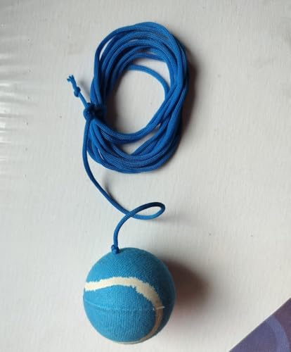 Image of Cricket Tennis Hanging Practice Ball Light waight for Indoor /Outdoor Knocking Cricket Training Ball (Standard, Pack of 1,Blue)