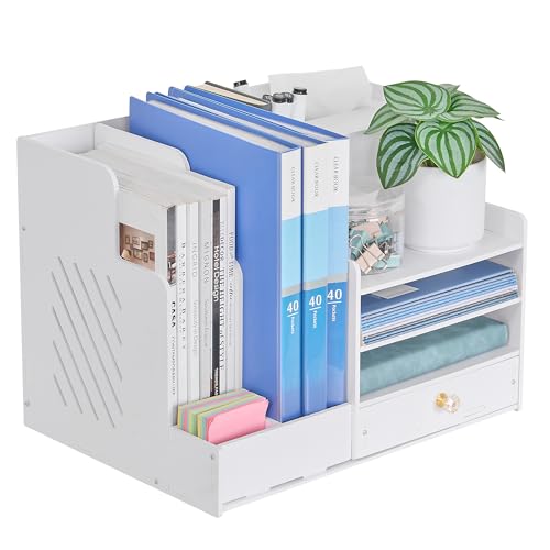 VECELO �����[ ���b�N �g�ݗ��Ď� �f�X�N��u���I �f�X�N�I�[�K�i�C�U�[ �y�����ĕt�� �����o�� �e�B�b�V���P�[�X�t�� ���ド�b�N A4�t�H���_�[/�V��/�G��/�t�H���_�[/���ޓ��� ����p�i ���ރP�[�X���� �I�t�B�X �Q�� ���r���O���[ ���ރP�[�X