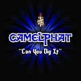  Can You Dig It (Dean Newton\'s Baseball Furies Remix)