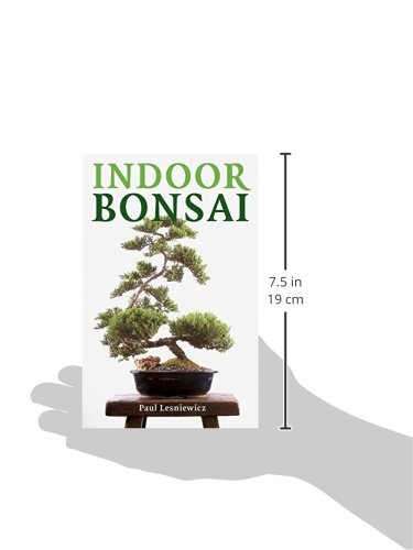 Indoor Bonsai