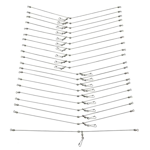 VERUNIS VV ނ V ނ d| JSނ LX JC  ֗   28cm 20{