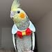 CXYYXF Bird Collar, Bird Clothes, Parrot Bird Supplies, Light Flying Clothes for Parakeets, Cockatiels, Conures, Lovebirds Cute Bow Tie Scarf (S)