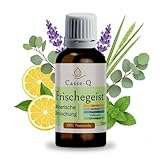 Casse-Q Frischegeist Duftöl – 100% naturreine ätherische Öl-Mischung aus Lavendel, Pfefferminz, Eukalyptus, Zitrone, Zitronengras mit erfrischendem Aroma – ideal für Diffuser, Aromatherapie & Raumduft