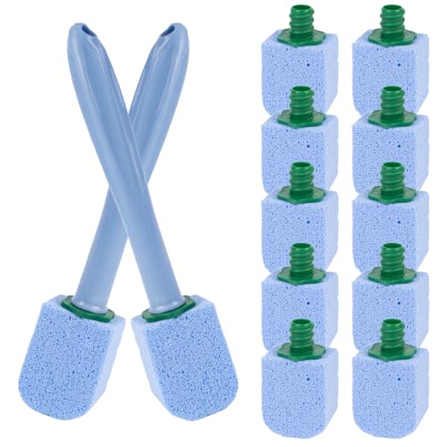 10 piezas de piedra pómez, 2 asas y 10 piedras de limpieza, eficaz piedra de limpieza contra la cal persistente y la piedra de orina, para baño y cocina, color azul