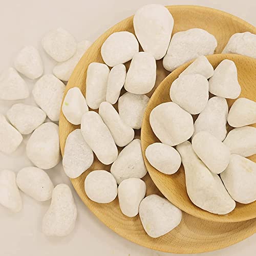 UNITED ARAB EMIRATES Snow White 3-5 cm Decorative Pebbles Natural Decorative Rocks for Garden Plants Succulents Vase Aquariums Landscape River Stones Outdoor | 20 kgs.