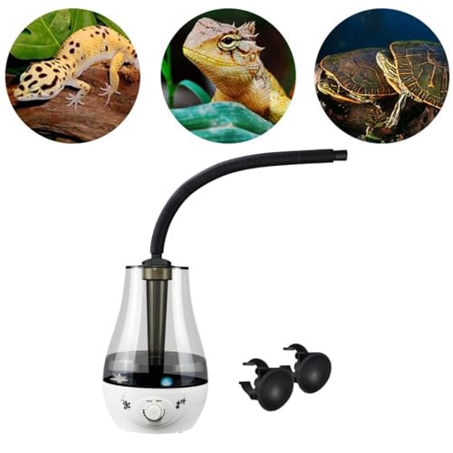 Reptiles débutants comment équiper votre premier terrarium - 5