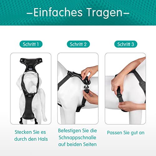 PoyPet Reflektierendes, weiches, atmungsaktives Hundegeschirr aus Mesh, erstickungsfreie, doppelt gepolsterte Weste mit verstellbarem Hals und Brust(Schwarz,M)