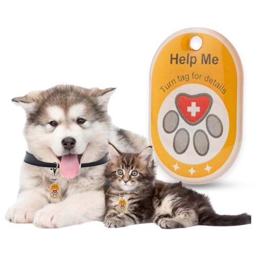 pets chewy dog tag