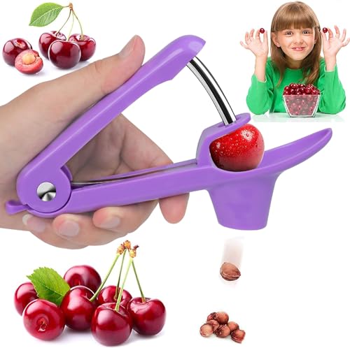 Cherry Pitter Tool with Space‑Saving Lock Design