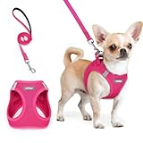 rabbitgoo Dog Harness Small Sized and Leash Set, Step in Soft Light Puppy Vest, Breathable Mesh Pet Harness, Reflective for Safe Easy Walking, Rose Red XXS