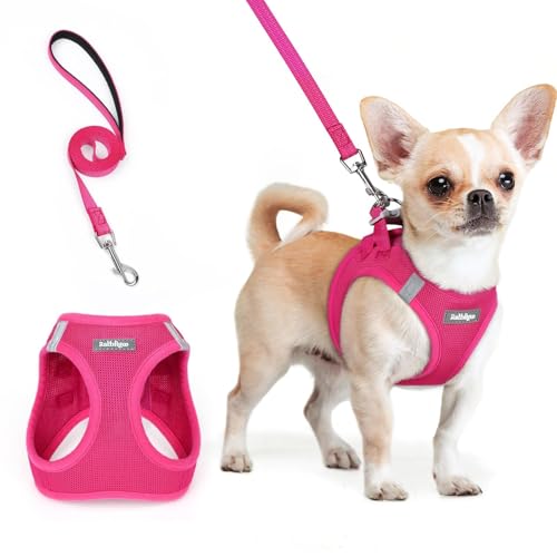 rabbitgoo Dog Harness Small Sized and Leash Set, Step in Soft Light Puppy Vest, Breathable Mesh Pet Harness, Reflective for Safe Easy Walking, Rose Red XXS