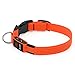 BSeen LED Dog Collar, USB Rechargeable Light Up Safety Pet Collar with 3 Glowing Modes & 3 Reflective Strings, Adjustable Soft Nylon Webbing, Great for Small Medium Large Dogs (Small, Bright Orange)