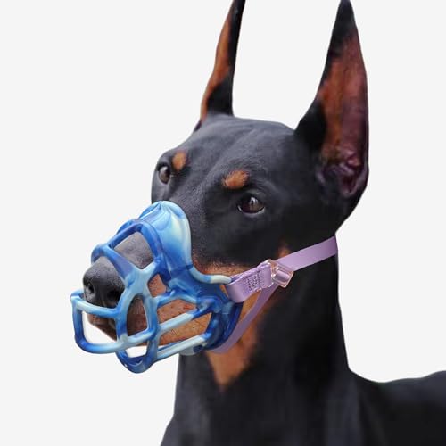 How to train your dog with a muzzle