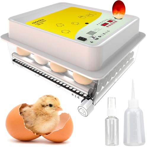 Incubateur à œufs OBI-36 pour réussir l'élevage de vos poussins et canetons à la maison