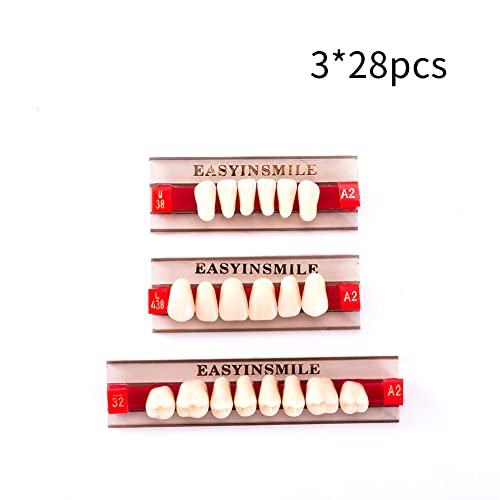 Image of Easyinsmile Dental Synthetic Resin Teeth A2 A3 False Upper Lower Teeth Replacement Dentures for Halloween (A2, Full Set 438+U38+32)