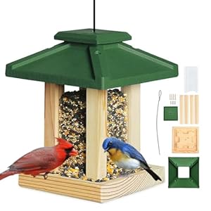 Deluxe Pavillion Feeder, Solid Western Red Cedar Birdfeeder Hanging for Outdoors, 2 Lbs Capacity, Cleanable Base Tray, Large Gazebo Style Long Life Lasting Rust Proof Copper Roof.