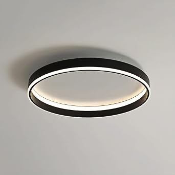 Minimalist Master Bedroom Ceiling Light, European Modern Living Room Flat Ceiling Lighting, Balcony Study Close To Ceiling Lamp Fixture, Side Emitting Design Saving Ceiling Lights, For Hallw