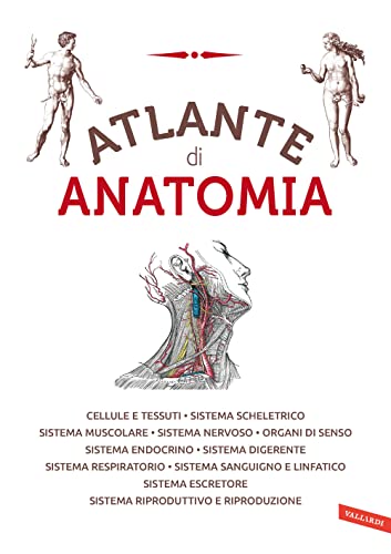 Atlante Di Anatomia