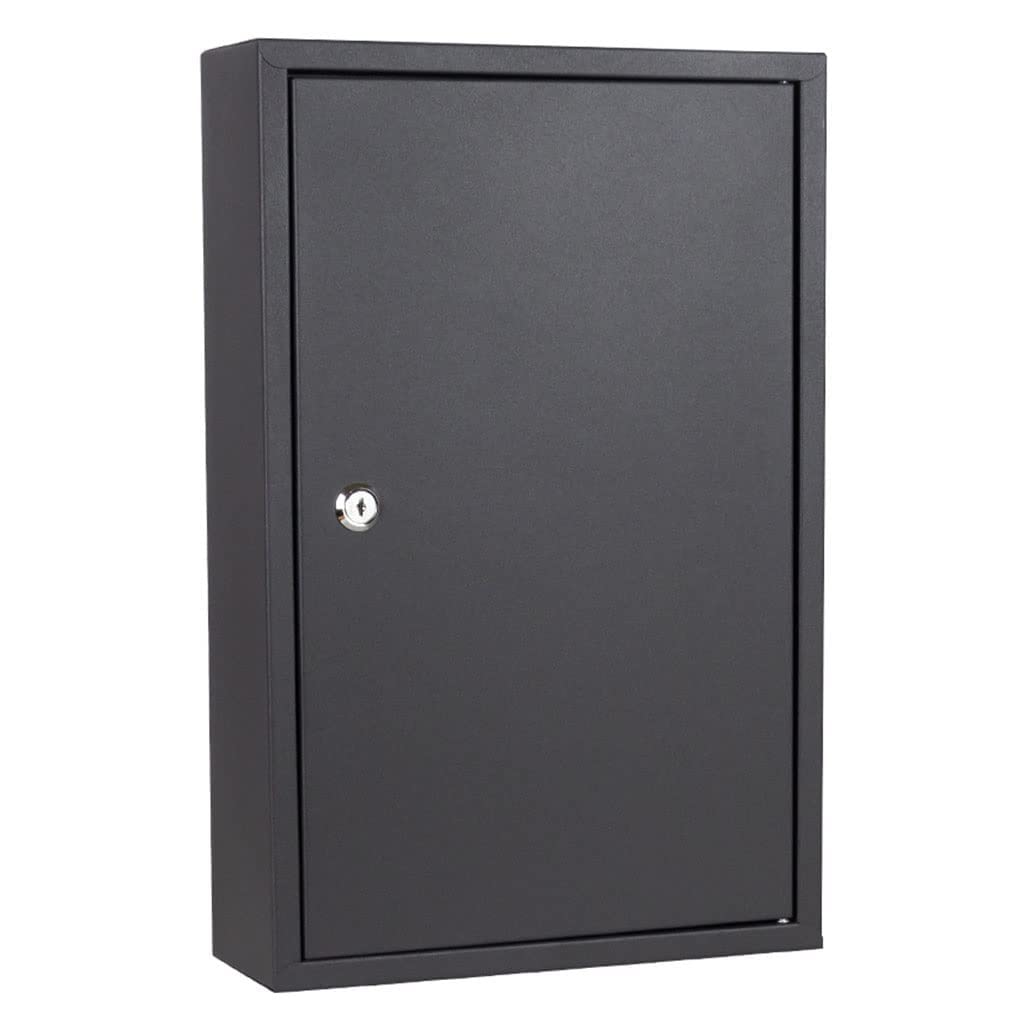 Armoire à clés sécurisée avec serrure à code pour 48 clés avec étiquettes et hoo Idéal pour la maison, le bureau ou le travail