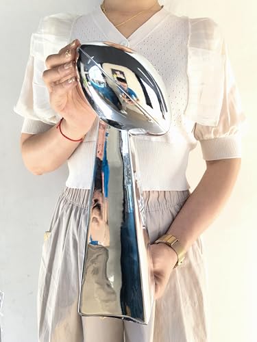 LNGODEHO Troféu Réplica do Campeonato de Futebol de Prata, Lembrança do Prêmio da Copa do Vencedor d