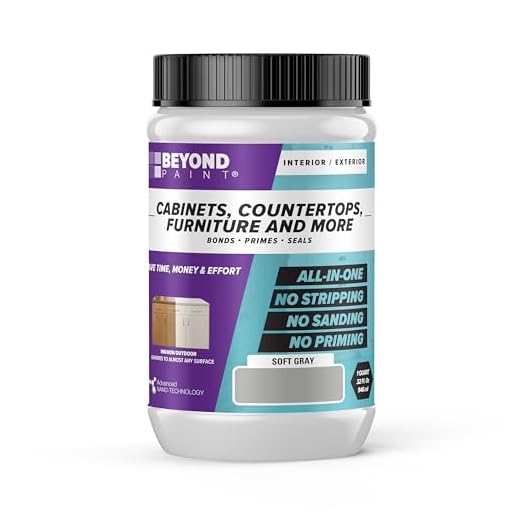 Beyond Paint All-in-One Refinish Paint