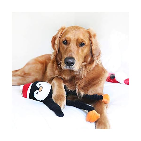 ZippyPaws Holiday Crinkle Squeaky Penguin Plush Dog Toy, Large ZippyPaws Holiday Crinkle Squeaky Penguin Plush Dog Toy, Large