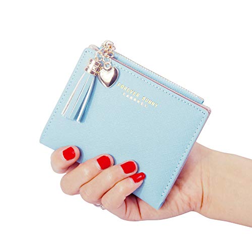 Belsmi Women's Small Compact Slim Leather Mini Wallet Lady Purse Zipper Pocket Card Organizer Bifold Wallets (Pink) #TOP1