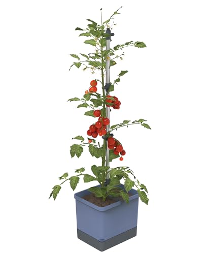GUSTA GARDEN Tom Tomato Tomatentopf Hellgrau - Pflanzentopf mit Rankhilfe, Bewässerungssystem & Befestigungshaken - Set inkl. 20L Erde - 4,5L Wassertank & 20L Erdvolumen (blau, ohne Erde)
