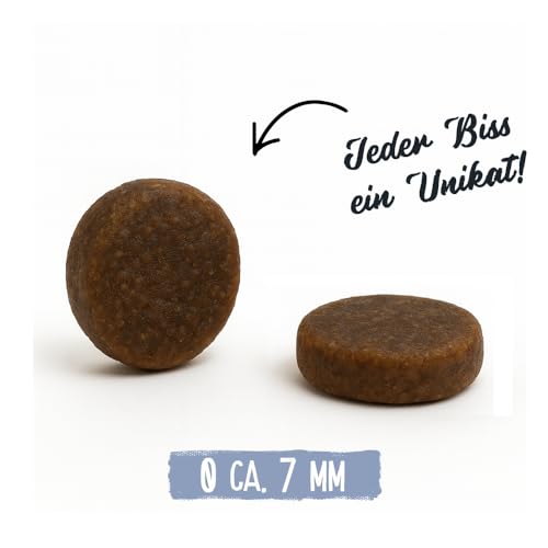 Chicopee Classic Nature Line | Adult Beauty | Katzenfutter trocken | Lachs & Geflügel | Haut & Fell, Omega-Fettsäuren, Vitamine | ohne Weizen | Inspiriert von der Natur Kanadas | 1,5 kg