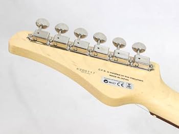 Amazon | フジゲン フジゲン BIL2-G-HH/BK/02 Boundary ILIAD シリーズ