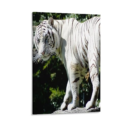 Tableau mural tigre 50x75cm pour réveiller un mur blanc et vide