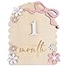 MEMOLEBIA Baby Girl Monthly Milestone Signs, 1-12 Monthly Baby Milestone Girl, Newborn Photography Props Double-Sided, Nursery Decor for Girls (M02)