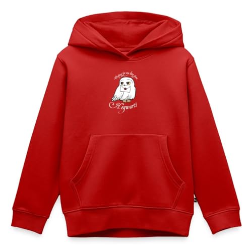 Sweat à capuche enfant Harry Potter vêtement Poudlard Hedwige automne