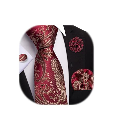 Image of Dubulle Mens Tie and Lapel Pin Paisley Striped Floral Necktie for Men Pocket Square Cufflinks 4PCS Set Wedding Party