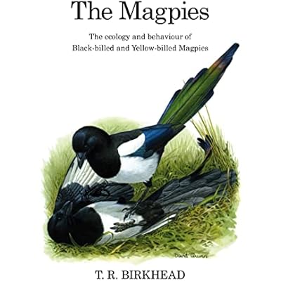 The Magpies