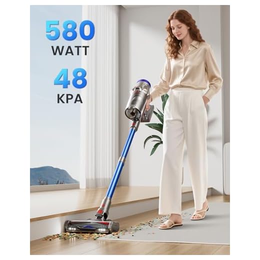 Avalsor Kabelloser Akku Staubsauger 580W