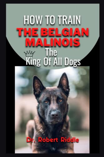 How To Train Belgian Malinois: The King Of All Dogs