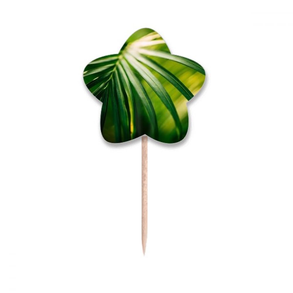 Lable cupcake picks étoiles Sunshine Nature pour émerveiller vos fêtes de famille
