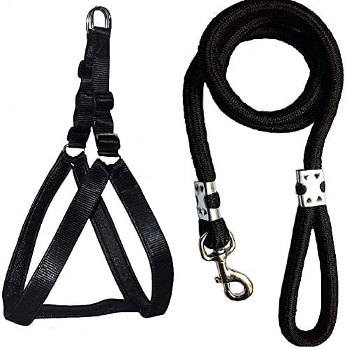 Pups&Pets Soft Padded Nylon Dog Harness & Leash Rope Set Adjustable Harness and Comfortable Padded Handle Leash and Harness Set for Medium and Large Dogs (Available As Per Color) (B0BG2TYS19) Amazon Price History, Amazon Price Tracker